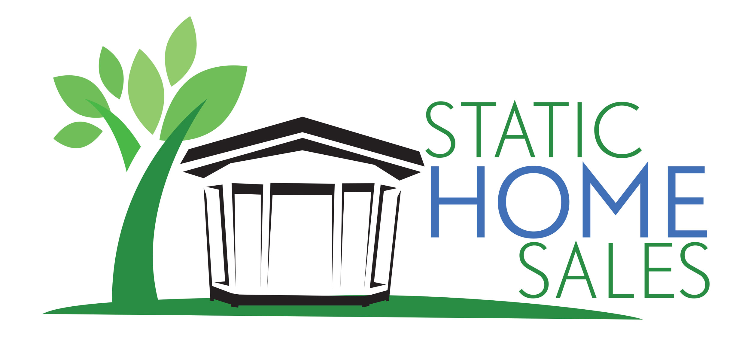Static Home Sales